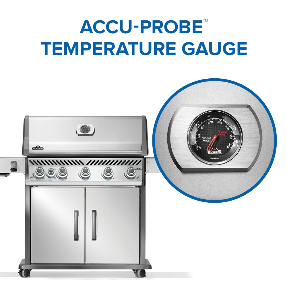 Napoleon Rogue PRO 625 Gas Grill view 5
