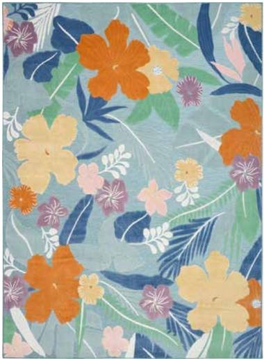 Nourison Suncoast SNC01 Outdoor Rugs