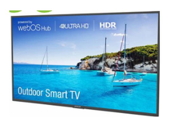 Neptune 55" Partial Sun Outdoor TV Outdoor TVs
