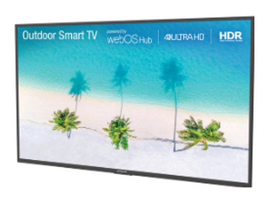 Neptune 65" Partial Sun Outdoor TV Outdoor TVs